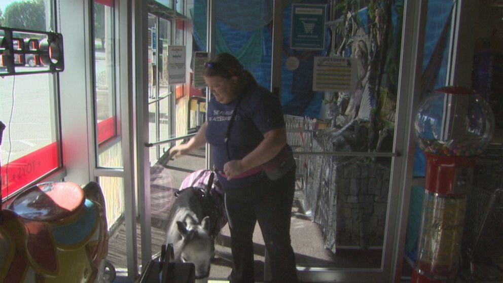 PHOTO: Abrea Hensley and her miniature therapy horse, Flirty are quite the sight. Whether at the grocery store or in the park, Flirty attracts a lot of attention. 