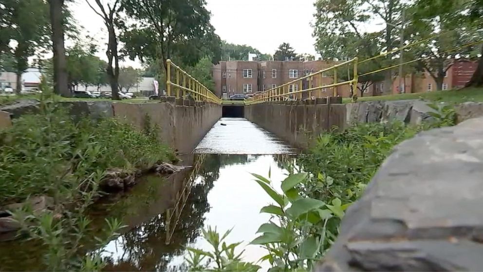 PHOTO: Nathalia Bruno survived a flash flood after her car was swept away by the water.