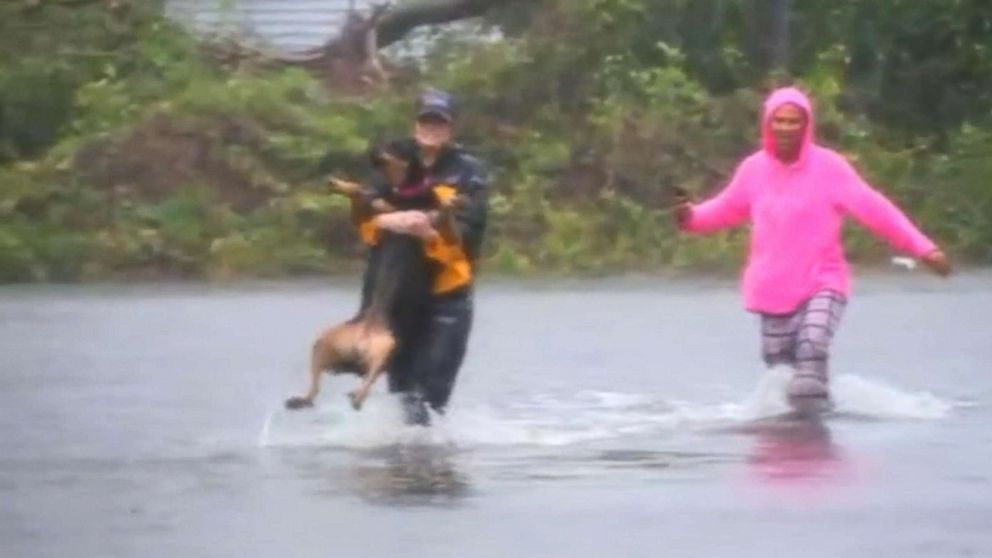 PHOTO: Julie Wilson, a reporter for WTVD, helps save a dog when Hurricane Florence hit New Bern, N.C., Sept. 14, 2018.