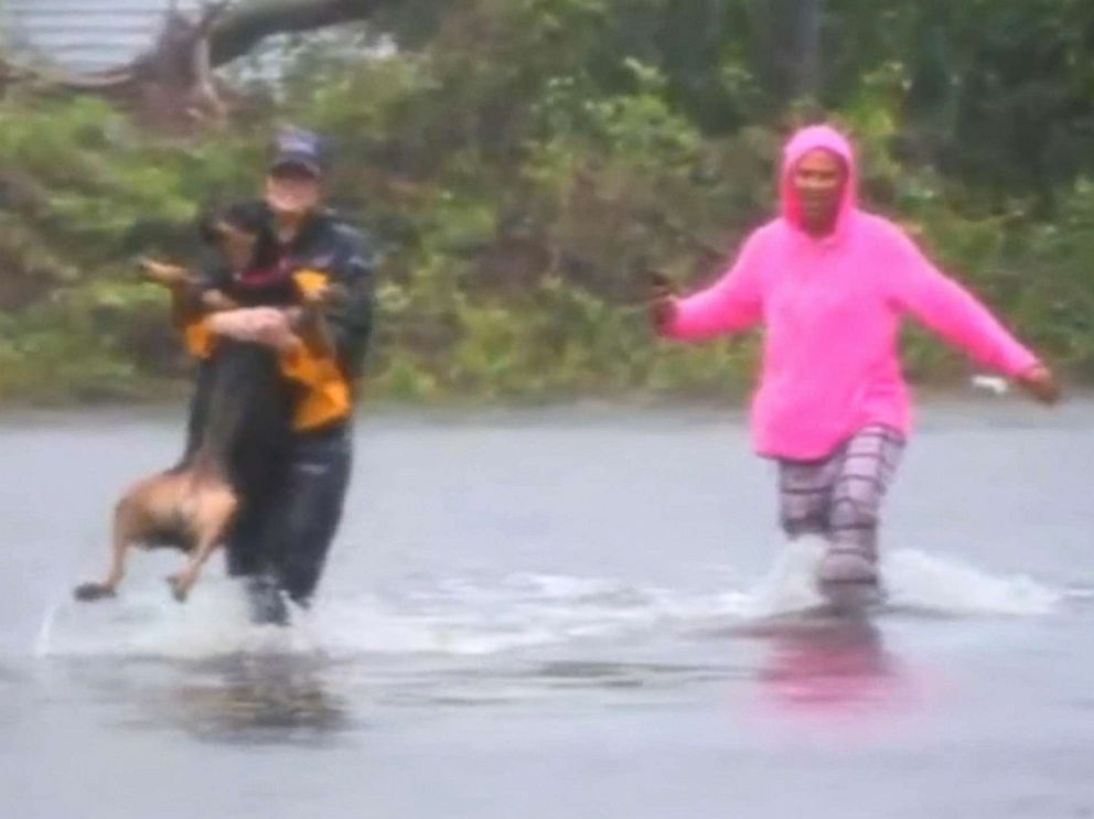 PHOTO: Julie Wilson, a reporter for WTVD, helps save a dog when Hurricane Florence hit New Bern, N.C., Sept. 14, 2018.