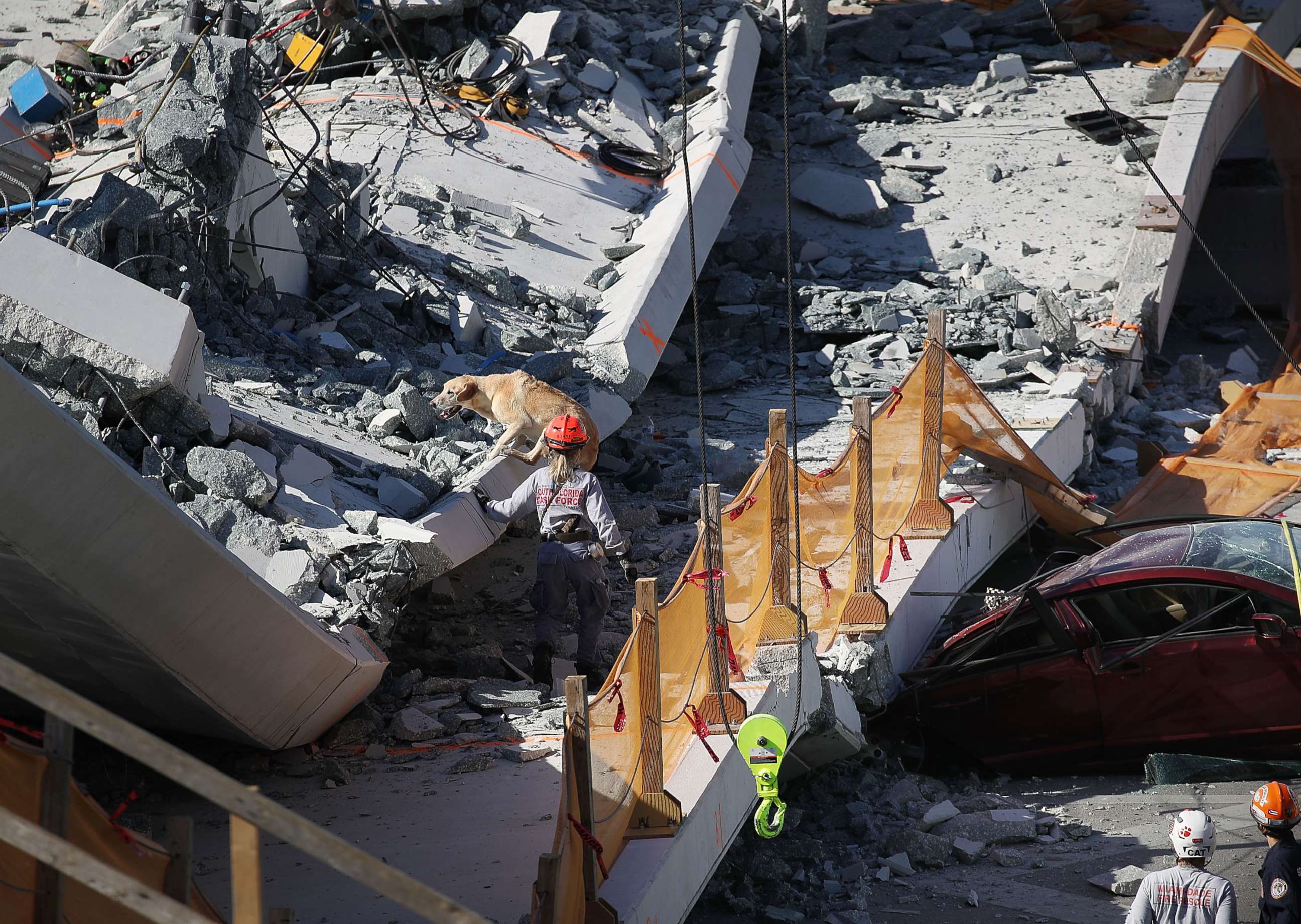 PHOTO: A rescue dog and its handler work at the scene where a pedestrian bridge collapsed at Florida International University on March 15, 2018 in Miami.
