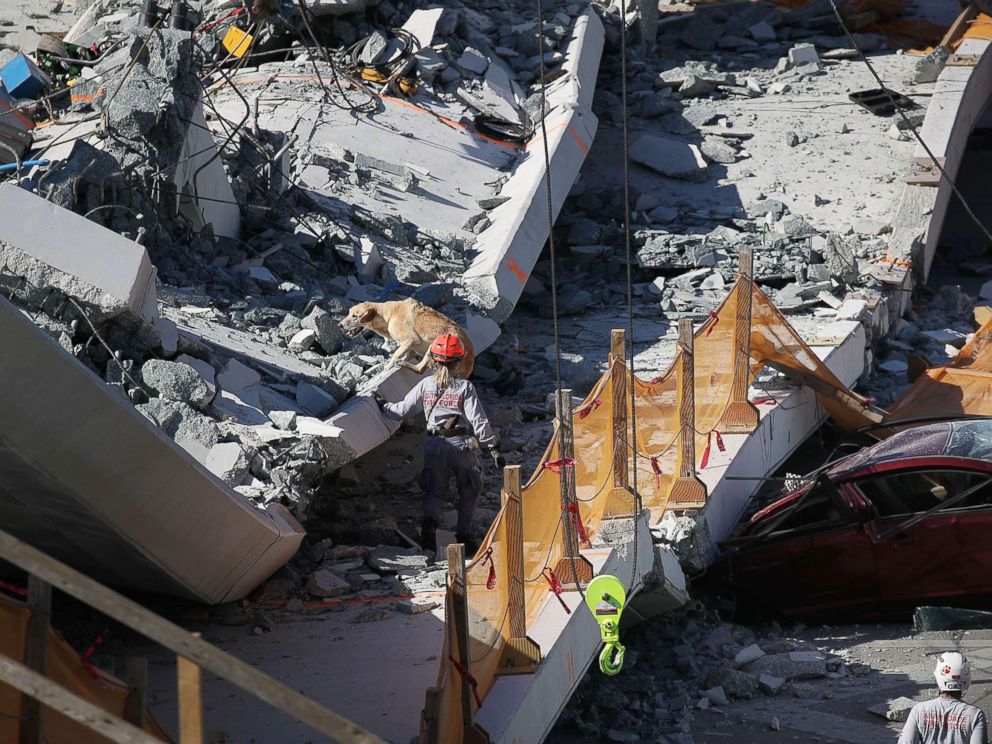 PHOTO: A rescue dog and its handler work at the scene where a pedestrian bridge collapsed at Florida International University on March 15, 2018 in Miami.