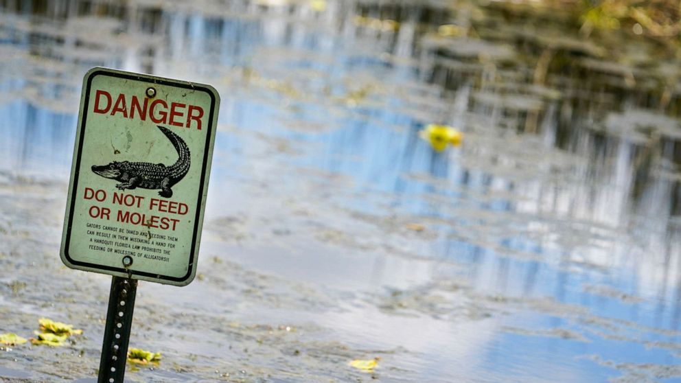 PHOTO: An alligator warning sign is posted in waters near the scene where a man was found dead after going into the lake to retrieve lost disc golf discs at John S. Taylor Park, May 31, 2022 in Largo, Fla.