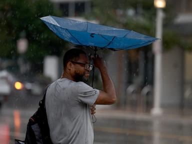 Torrential rain in Florida closes schools, knocks out power