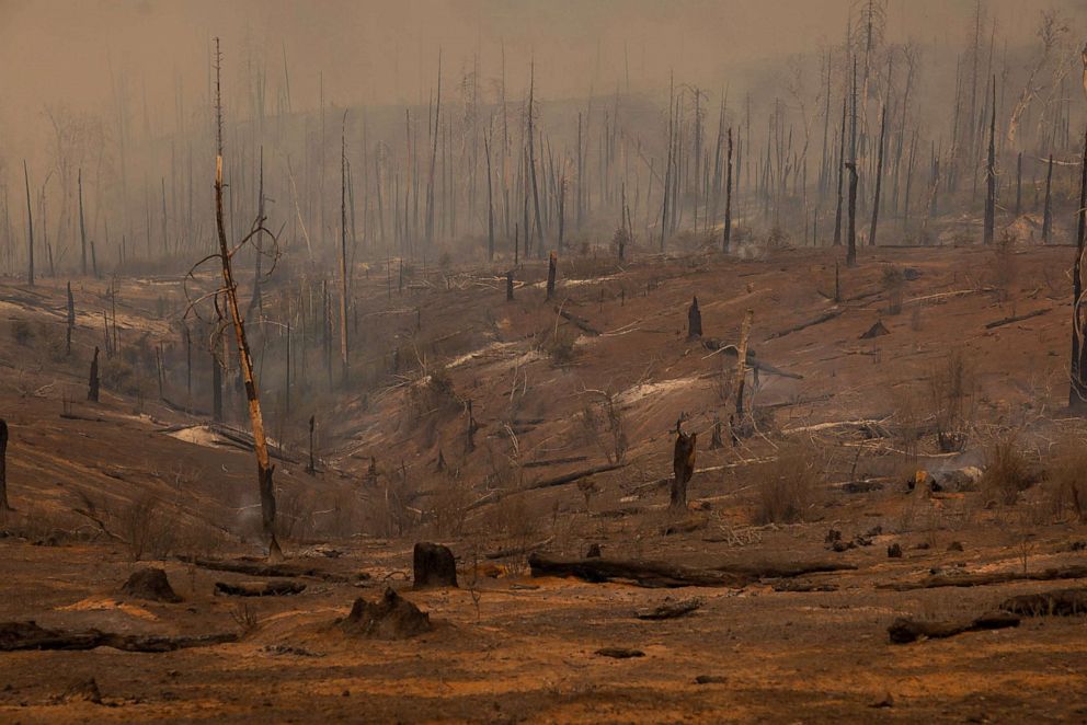 PHOTO: A forest is left decimated by the Oak Fire near Mariposa, Calif., July 24, 2022. - The fierce California wildfire expanded early Sunday burning several thousand acres and forcing evacuations.