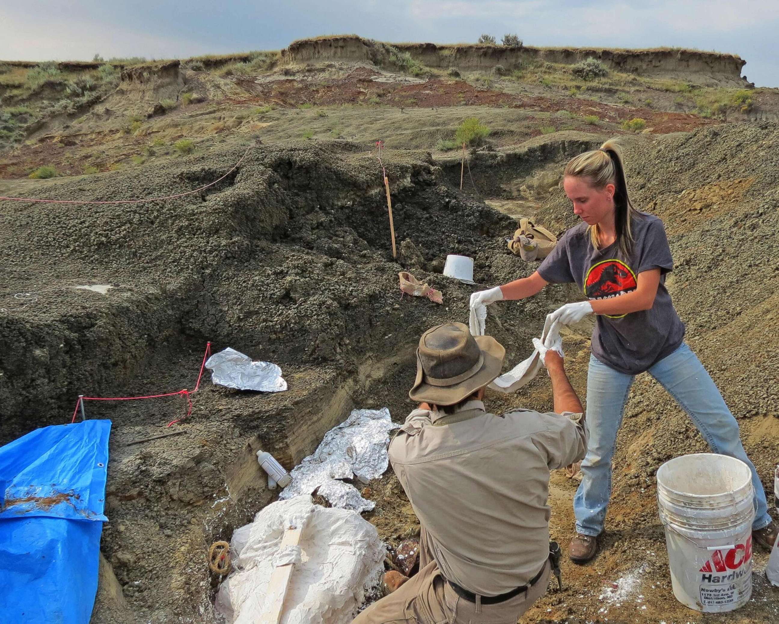PHOTO: The University of Kansas' Robert DePalma(L)and field assistant Kylie Ruble(R) excavate fossil carcasses from the Tanis deposit, March 29, 2019.