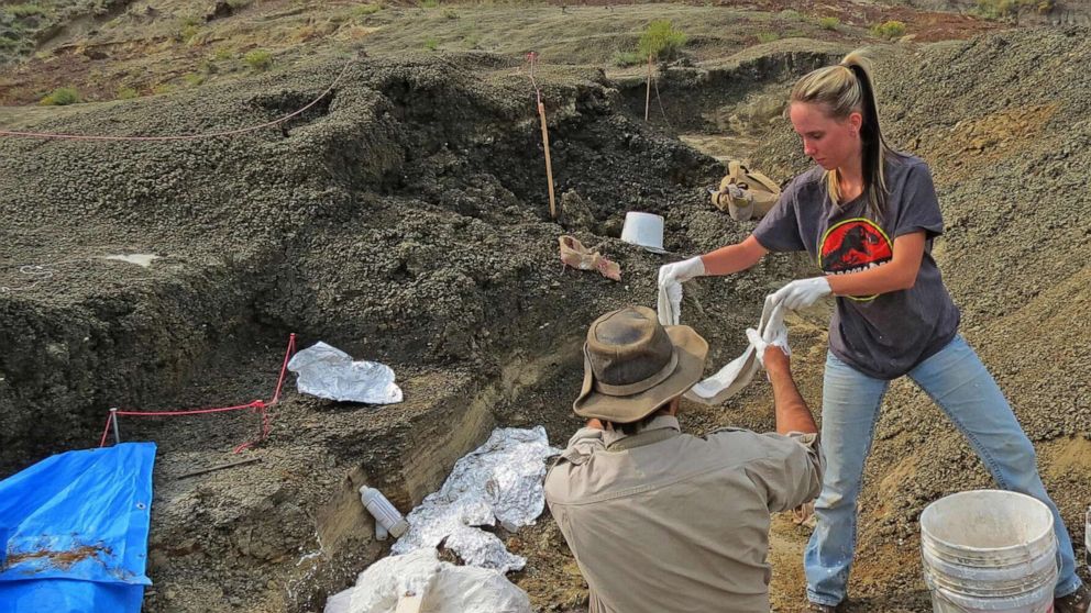 The University of Kansas' Robert DePalma(L)and field assistant Kylie Ruble(R) excavate fossil carcasses from the Tanis deposit, March 29, 2019.