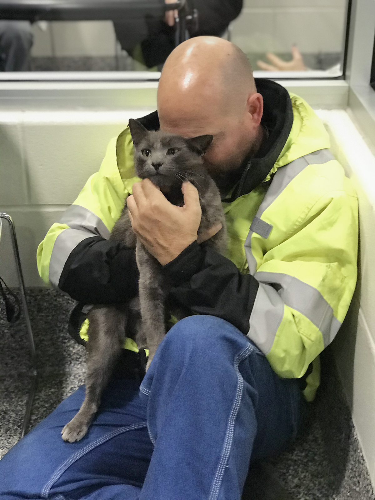 PHOTO: Ashes, a 3-year-old cat found at a truck stop in Ohio, was reunited with his owner with the help of his microchip.