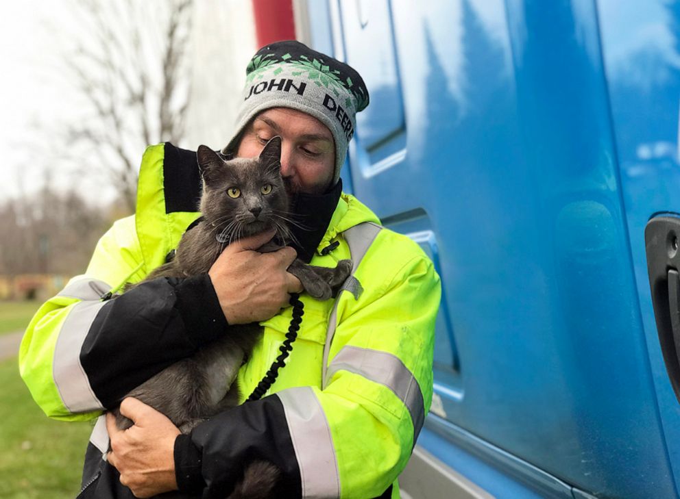 PHOTO: Ashes, a 3-year-old cat found at a truck stop in Ohio, was reunited with his owner with the help of his microchip.