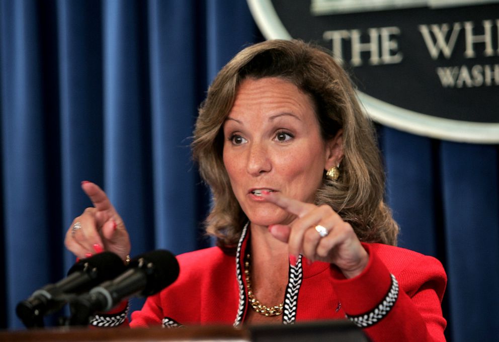 PHOTO: Fran Townsend, President Bush's adviser on Homeland Security, answers questions at a White House press briefing on the reorganization of the Homeland Security system, June 29, 2005, in Washington D.C.