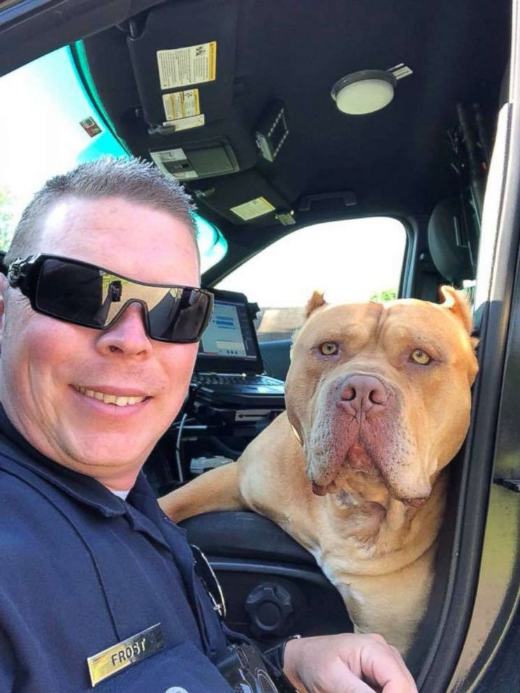 PHOTO: Texarkana Texas Police Officer Travis Frost made a new furry friend before calling animal control to help find the dog's owner.