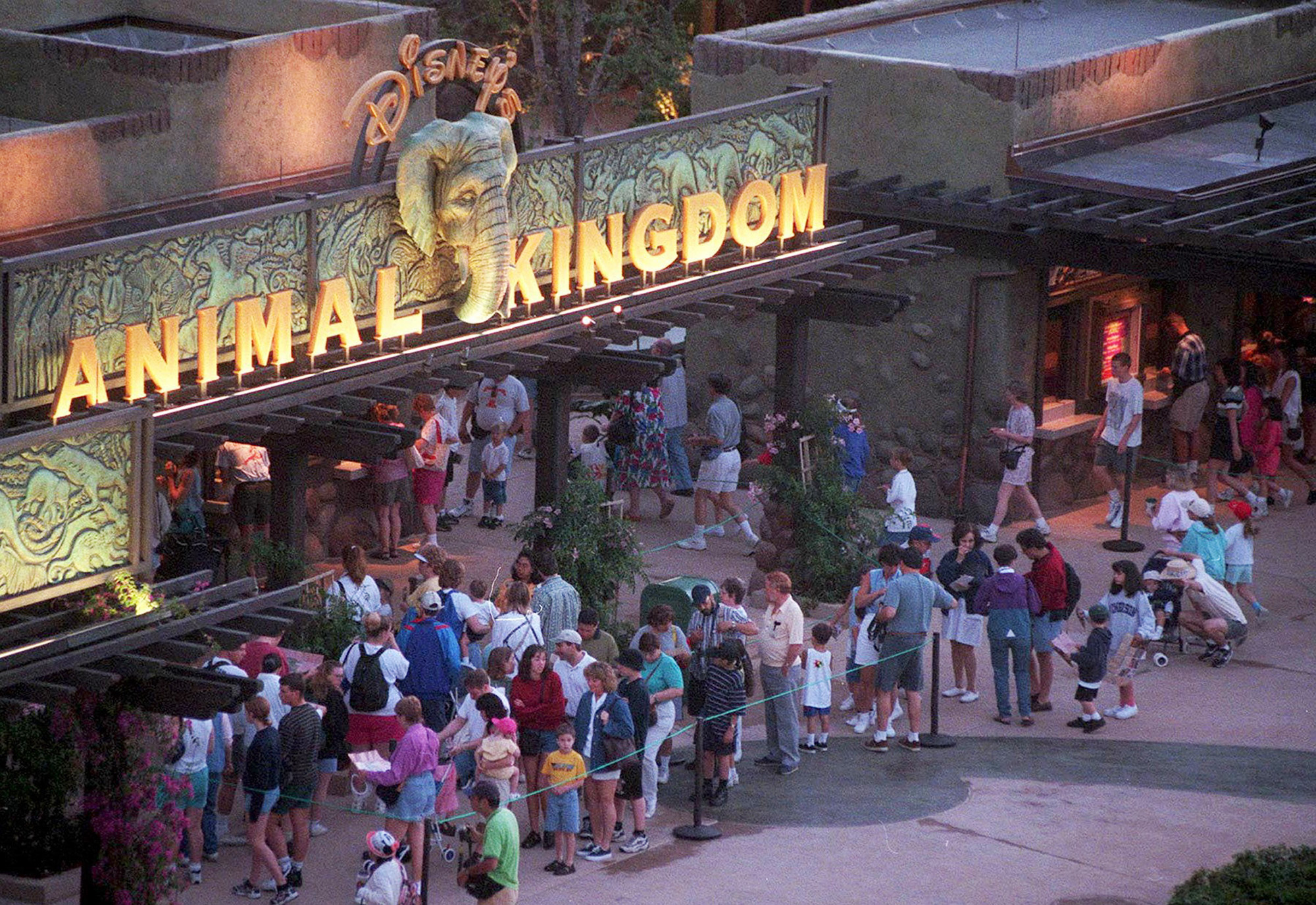 PHOTO: A crowd gathers at the entrance of Disney's Animal Kingdom in Orlando, Fla., in an undated photo.