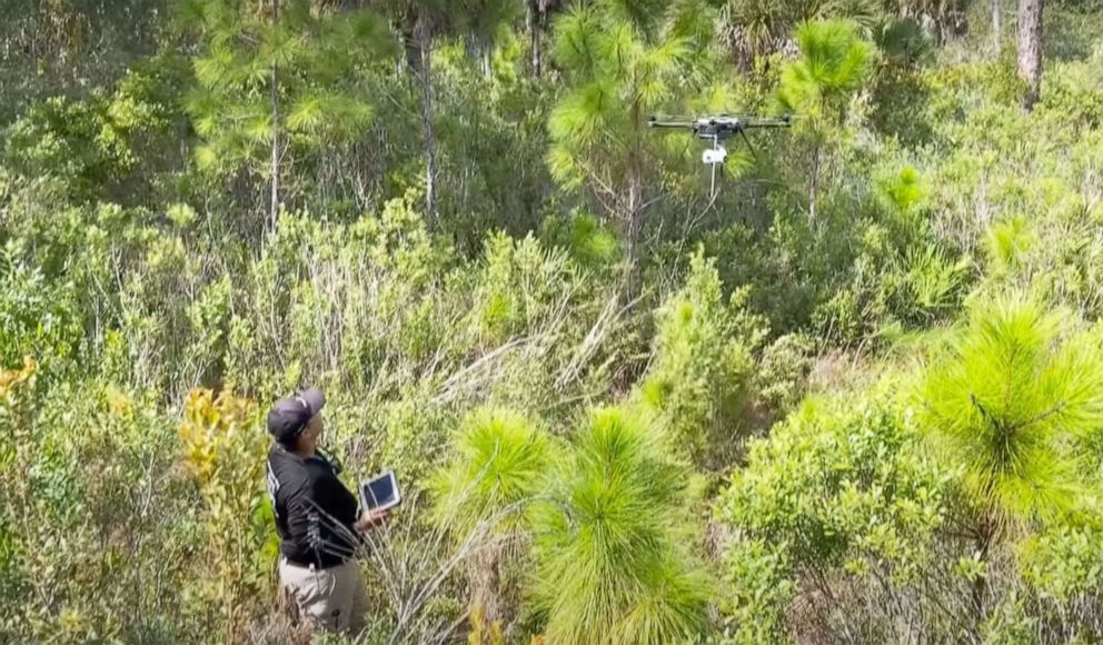 PHOTO: Footage released by police show the search efforts using swamp buggies and drones to find Brian Laundrie in the Carlton Reserve in North Port, Fla, Sept. 23, 2021.