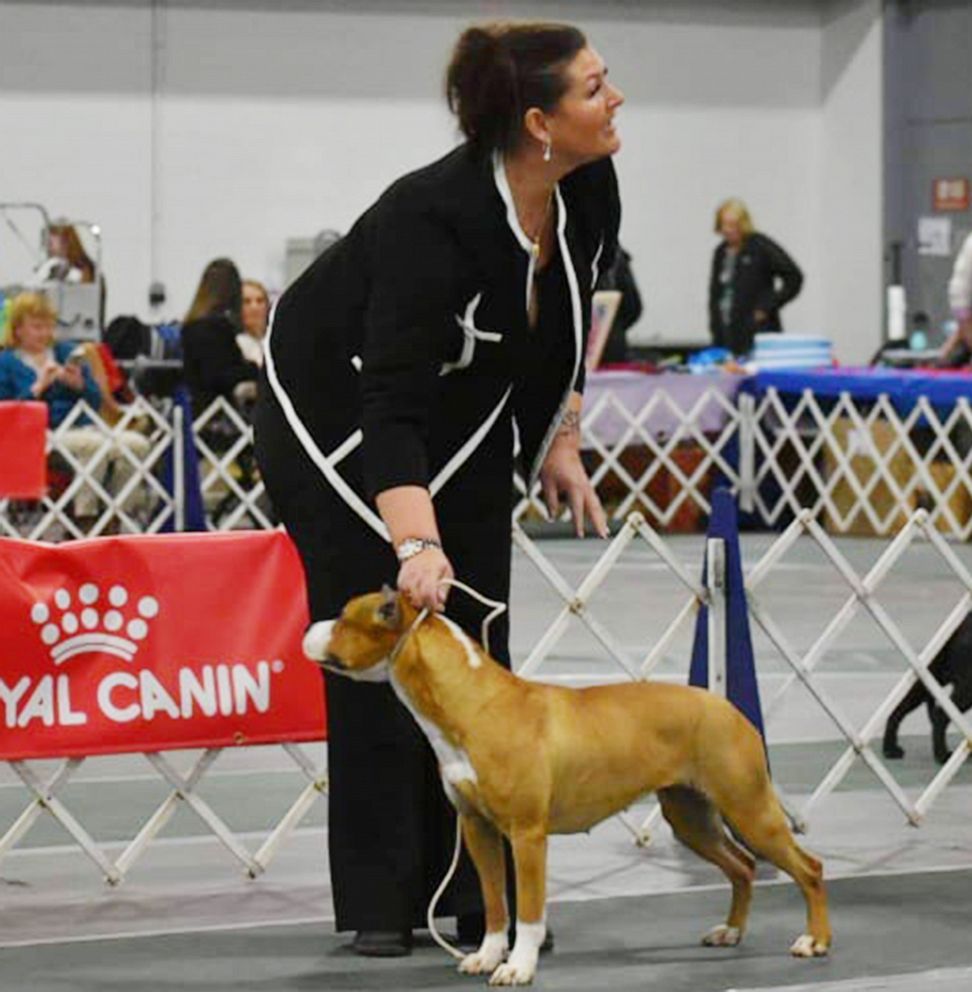 PHOTO: The American Staffordshire named Gale is seen here in an undated file photo.