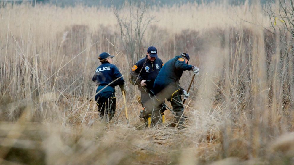 PHOTO: Crime scene investigators use metal detectors to search a marsh for the remains of Shannan Gilbert, Dec. 12, 2011 in Oak Beach, New York.