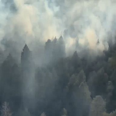 The Glass Fire continues to burn near Bothe State Park in Napa Valley, California, destroying at least 17 wineries in the region.