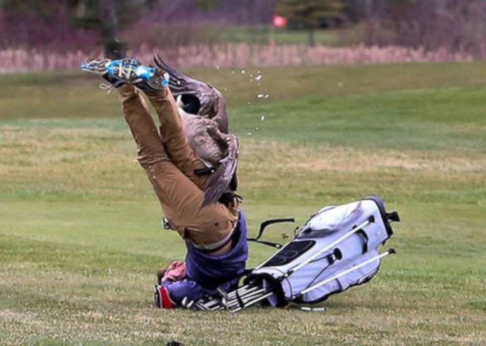 One unlucky golfer ran into a very angry goose on the golf course in Adrian, Michigan, on Saturday, April 21, 2018.