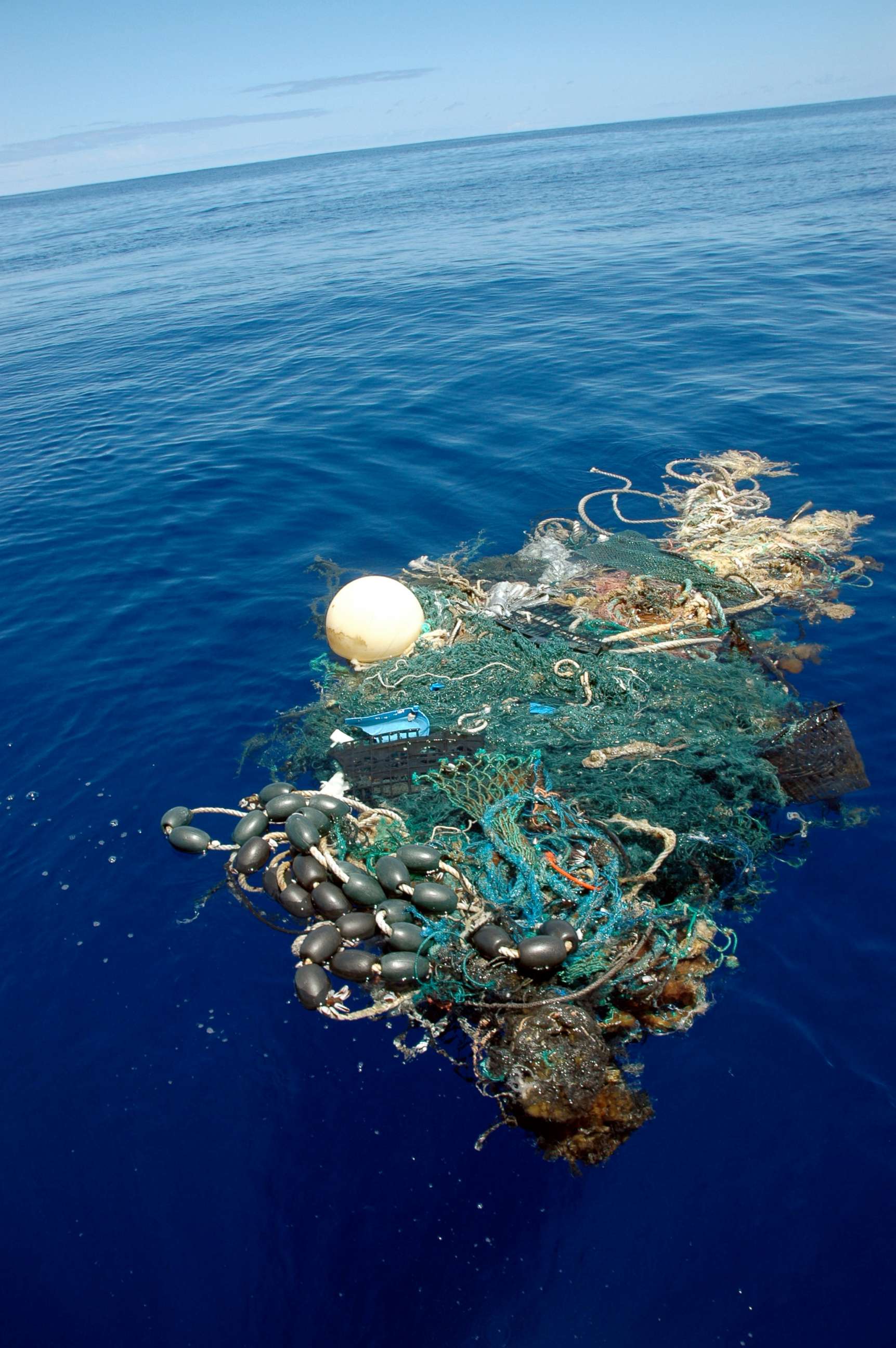 PHOTO: A patch of sea garbage adrift in the Pacific Ocean, Aug. 11, 2009.