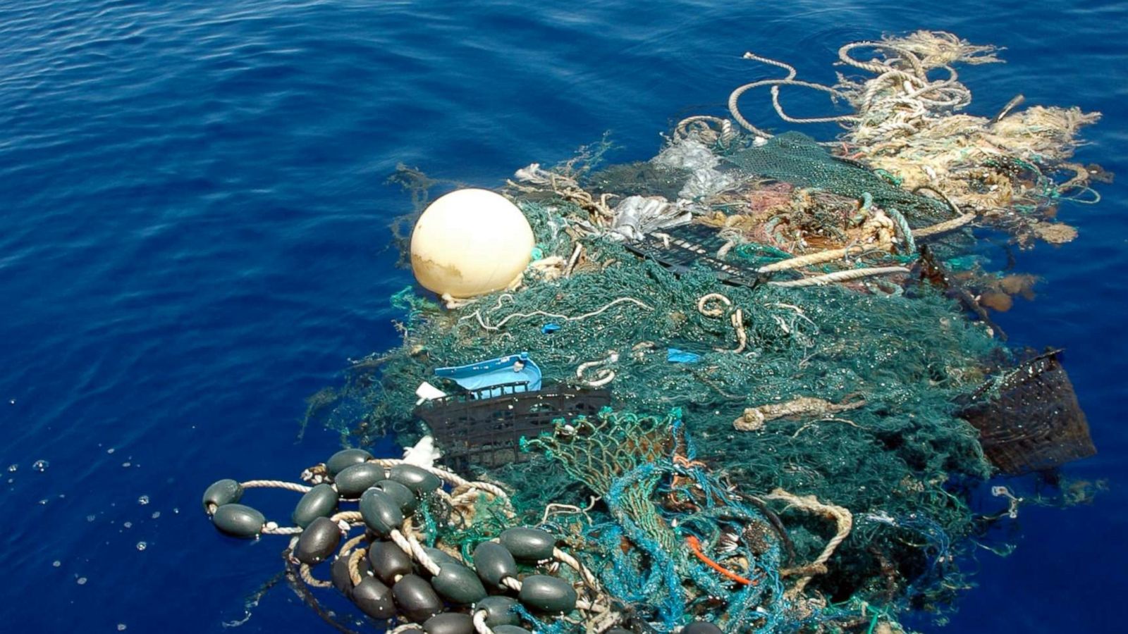 Trash Free Seas: Plastics in the Ocean - Ocean Conservancy