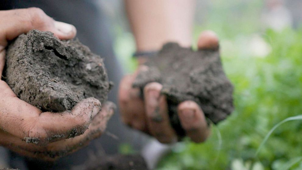 PHOTO: Soil is examined by hand on Solidarity Farm in Pauma Valley, Calif.