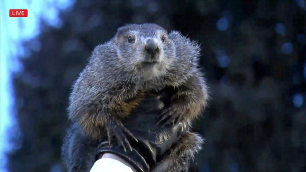 Groundhog Day 2018: Punxsutawney Phil sees shadow, six ...