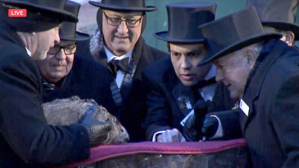 PHOTO: Punxsutawney Phil, the prognosticating groundhog, saw his shadow, forecasting six more weeks of winter weather during the celebration of Groundhog Day on Gobbler's Knob in Punxsutawney, Penn., Feb. 2, 2018. 