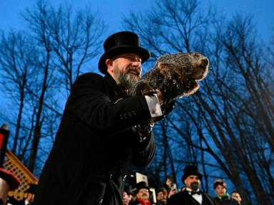 Punxsutawney Phil predicts 6 more weeks of winter on Groundhog Day