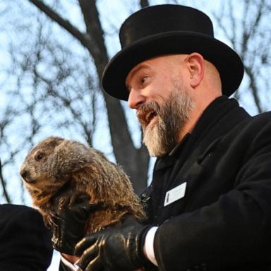 PHOTO: AJ Dereume holds up groundhog Punxsutawney Phil, as he makes his prediction on how long winter will last, during the Groundhog Day festivities, at Gobbler's Knob in Punxsutawney, Pennsylvania, Feb. 2, 2025. 