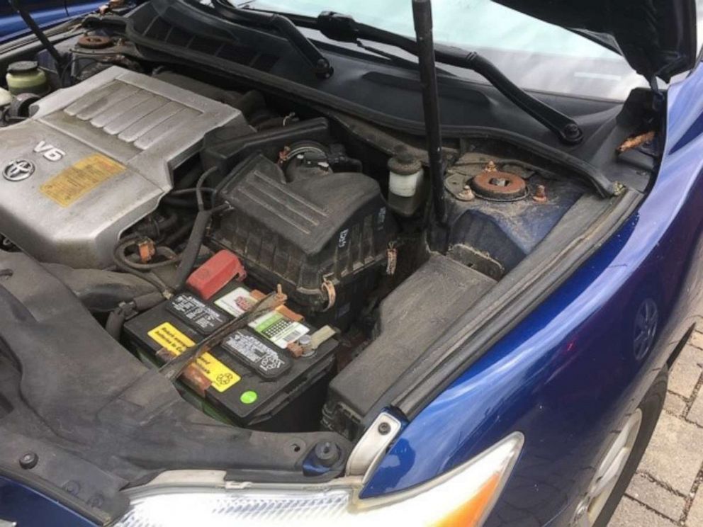 PHOTO: A groundhog is found in the engine compartment of a vehicle, Dedham, Mass., July 2, 2019.