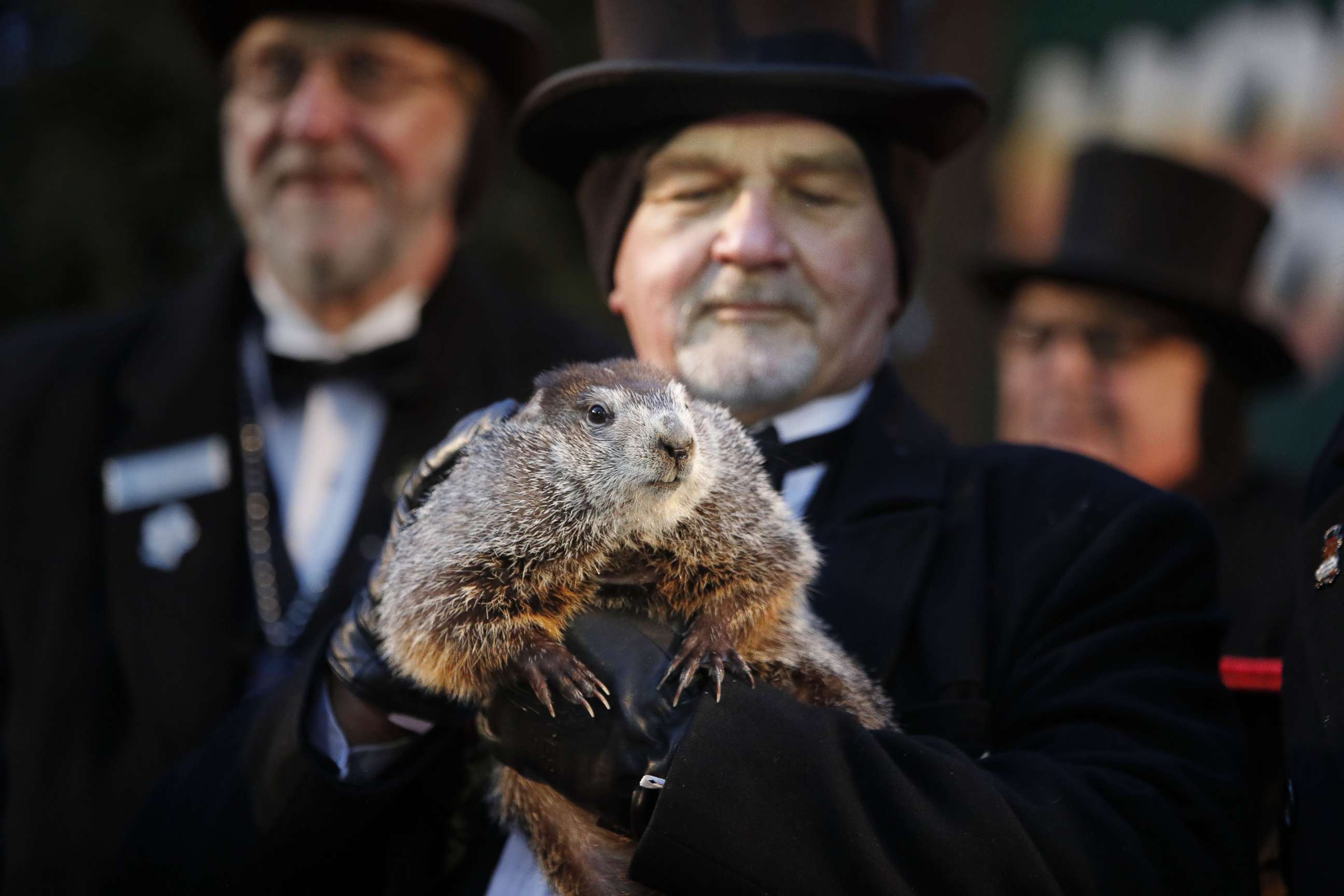 PHOTO: Groundhog Club co-handler John Grifiths holds Punsxutawney Phil the weather prognosticating groundhog during the Groundhog Day celebratio, in Punxsutawney, Penn., Feb. 2, 2018.  Phil saw his shadow and predicted six more weeks of winter.