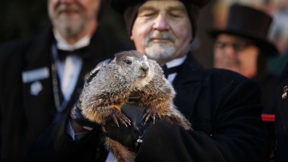 PHOTO: Groundhog Club co-handler John Grifiths holds Punsxutawney Phil the weather prognosticating groundhog during the Groundhog Day celebratio, in Punxsutawney, Penn., Feb. 2, 2018.  Phil saw his shadow and predicted six more weeks of winter.