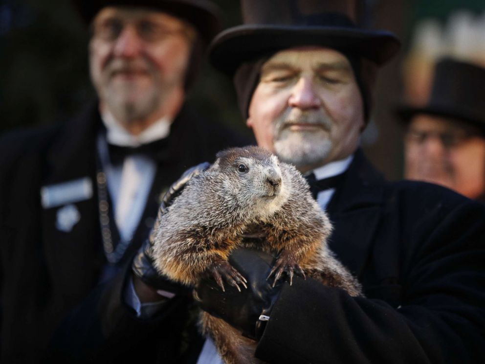 PHOTO: Groundhog Club co-handler John Grifiths holds Punsxutawney Phil the weather prognosticating groundhog during the Groundhog Day celebratio, in Punxsutawney, Penn., Feb. 2, 2018. Phil saw his shadow and predicted six more weeks of winter.