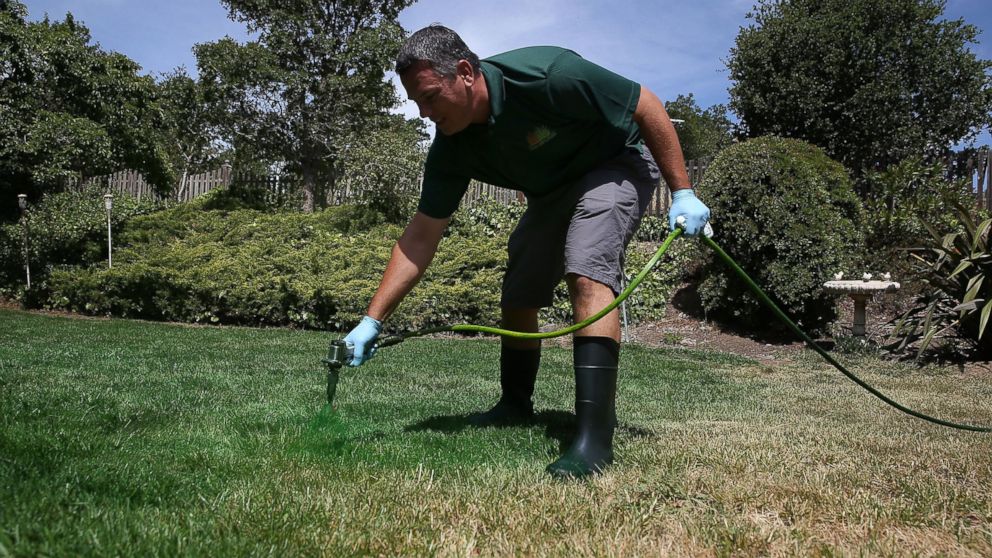 PHOTO: A man applies green paint to a brown lawn on May 29, 2015 in Novato, Calif.