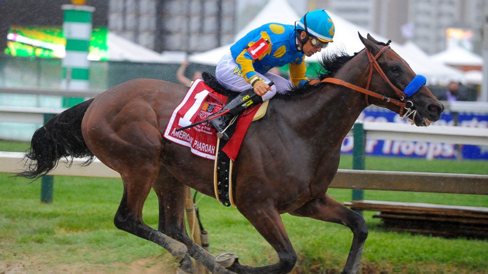 PHOTO: American Pharoah passes the 1/8 pole in the home stretch with a commanding lead during the 140th running of the Preakness Stakes, May 16, 2015, at Pimiico Race Course in Baltimore.