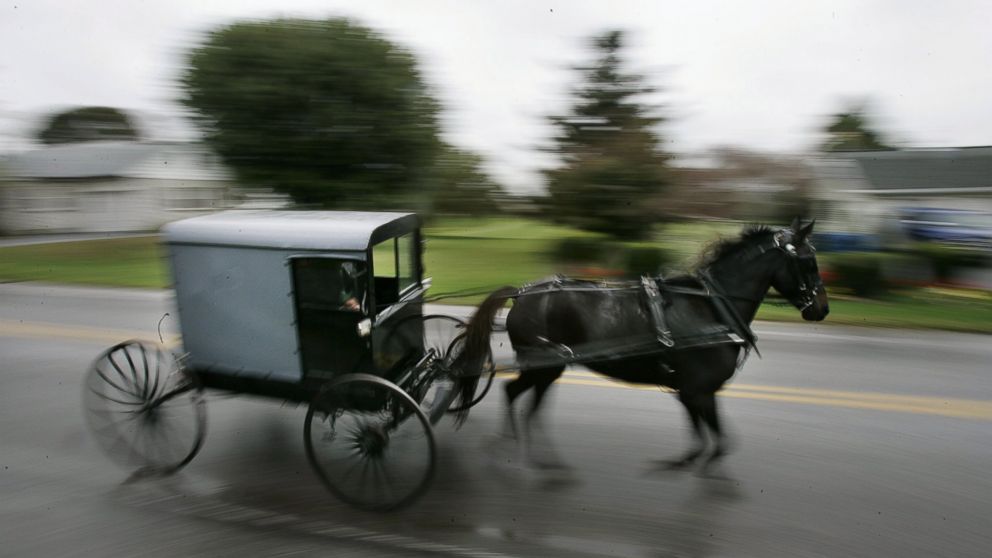 This Oct. 6, 2006 file photo shows a horse draws an Amish carriage through Georgetown in Bart Township Pennsylvania.  