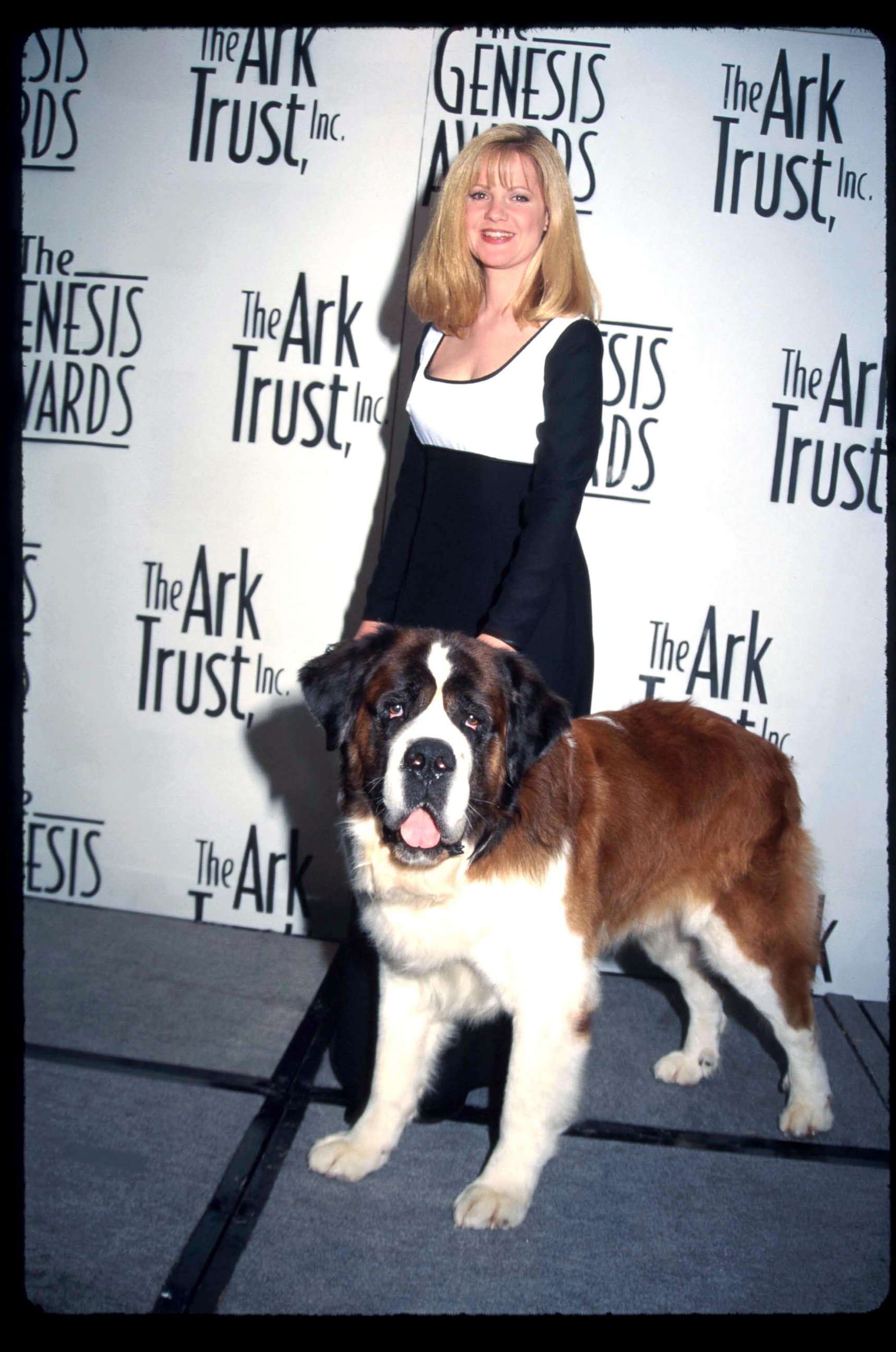 PHOTO: 'Beethoven' the dog appears here with Bonnie Hunt at the Genesis Awards April 5, 1997 in Los Angeles, Calif.