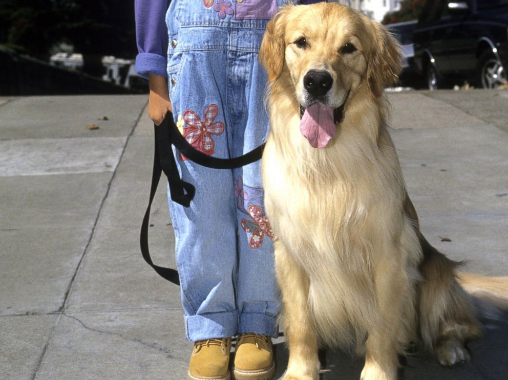 PHOTO: Comet appears here on location with Ashley Olsen in San Francisco on Aug. 17, 1994.