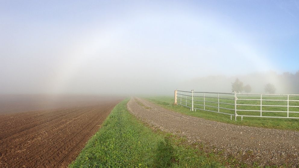 PHOTO: Fog and sunbeams build a fogbow.