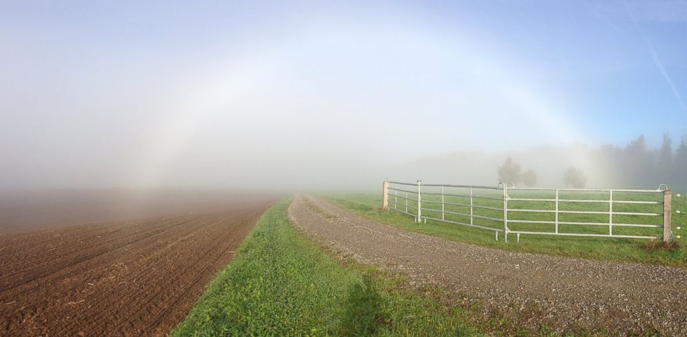 PHOTO: Fog and sunbeams build a fogbow.