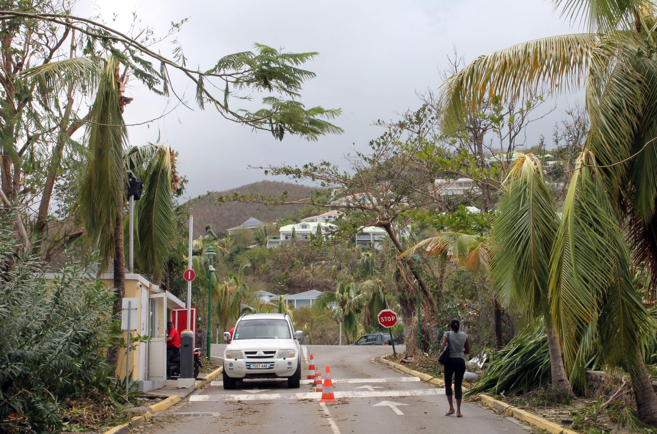 PHOTO: A woman walks past damaged trees in Orient Bay on the French Caribbean island of Saint Martin on Oct. 14, 2014. 