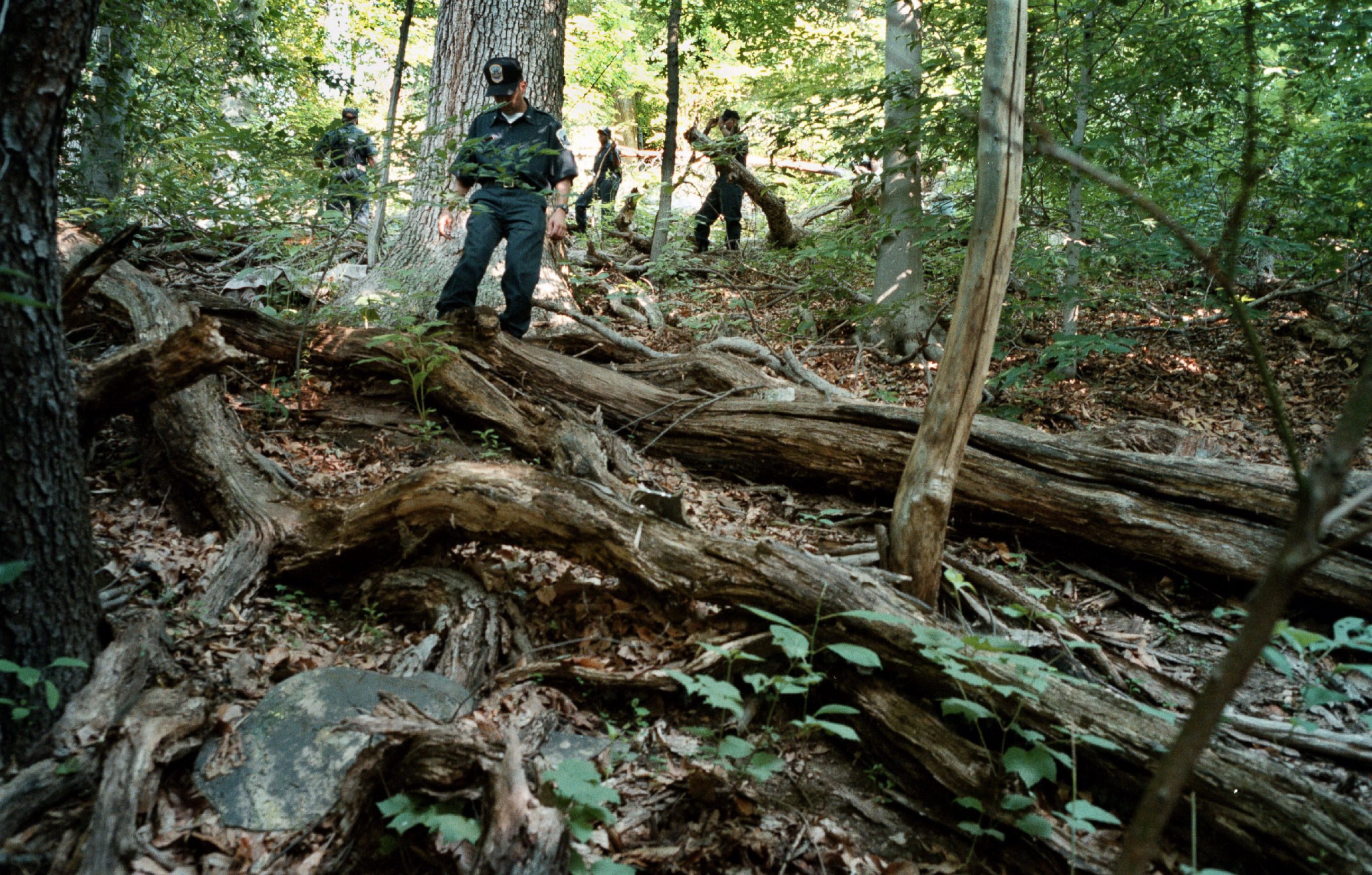 PHOTO: The ongoing search of Rock Creek Park for evidence relating to the disappearance of Chandra Levy. DC Police recruits work their way through the heavy underbrush just north of Piny Branch between 16th and Beach, July 17, 2001.