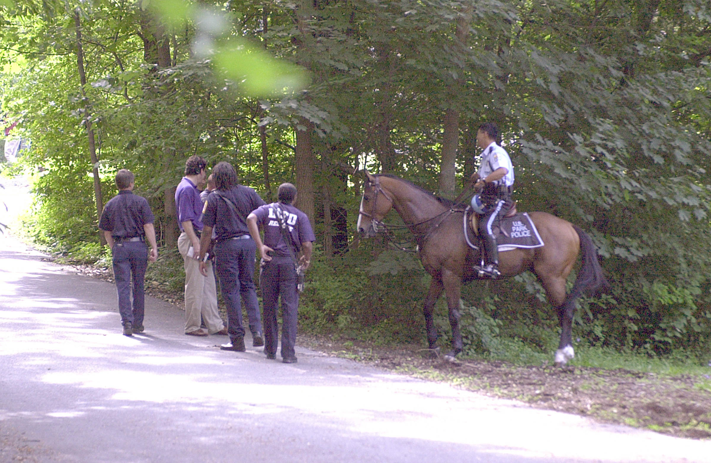PHOTO: US Park police and fire fighters searching wooded area of park for evidence leading to whereabouts of missing Washington intern Chandra Levy, July 16, 2001. 
