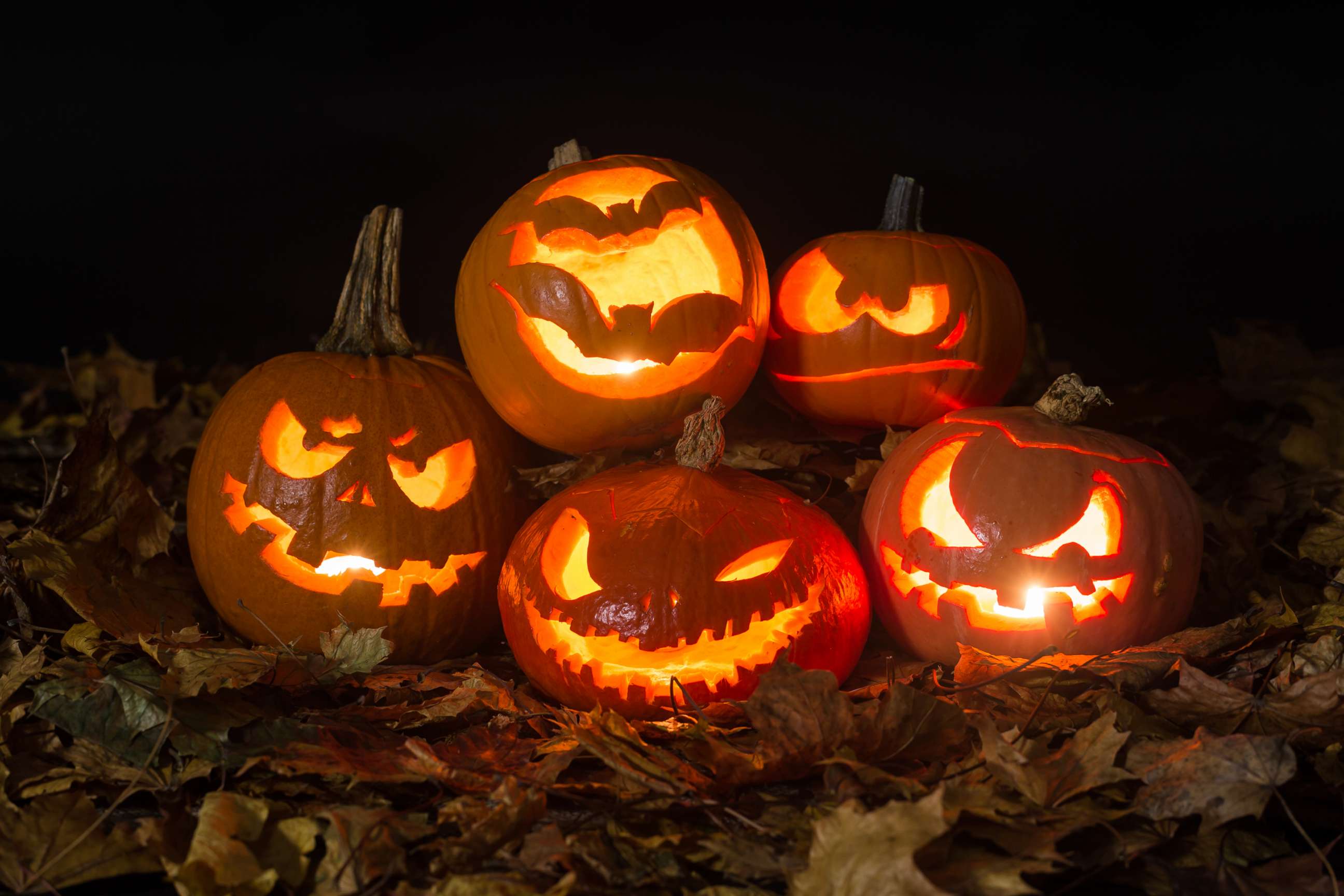 PHOTO: Halloween pumpkins lit by candles.