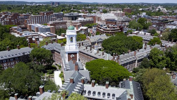 Harvard's Eliot House tower over the Harvard University campus in Cambridge, Massachusetts, May 27, 2025. 