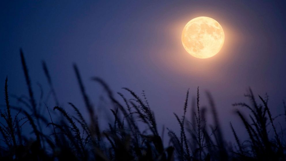 VIDEO: What is a harvest moon?