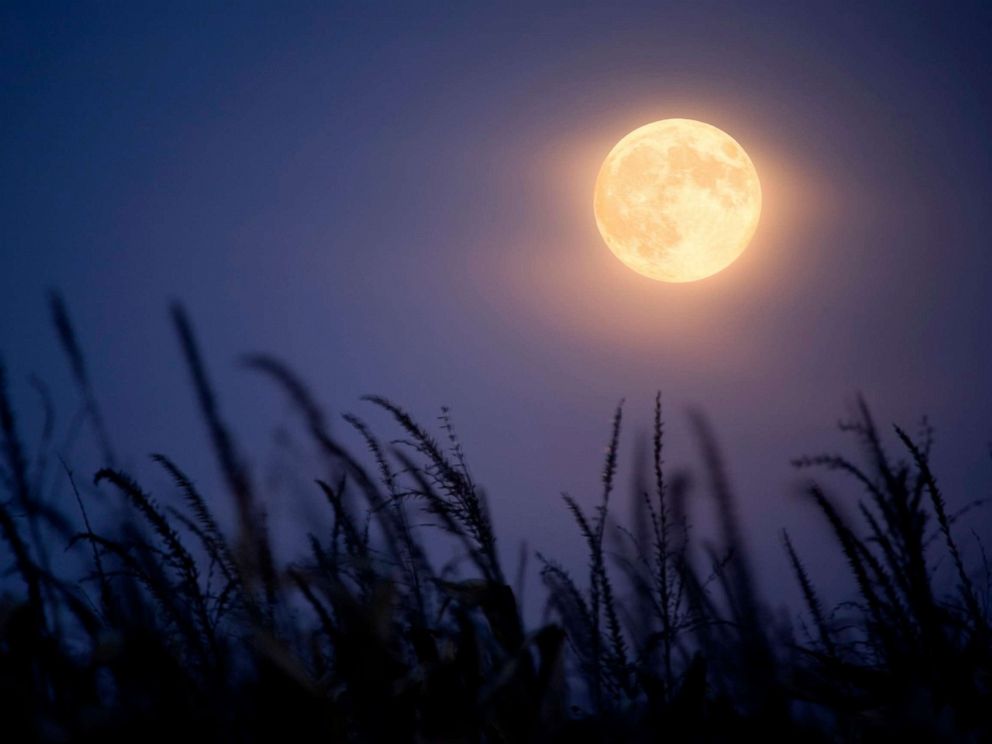 Rare harvest moon will happen on Friday the 13th ABC News