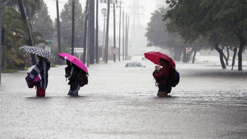 harvey rain totals today