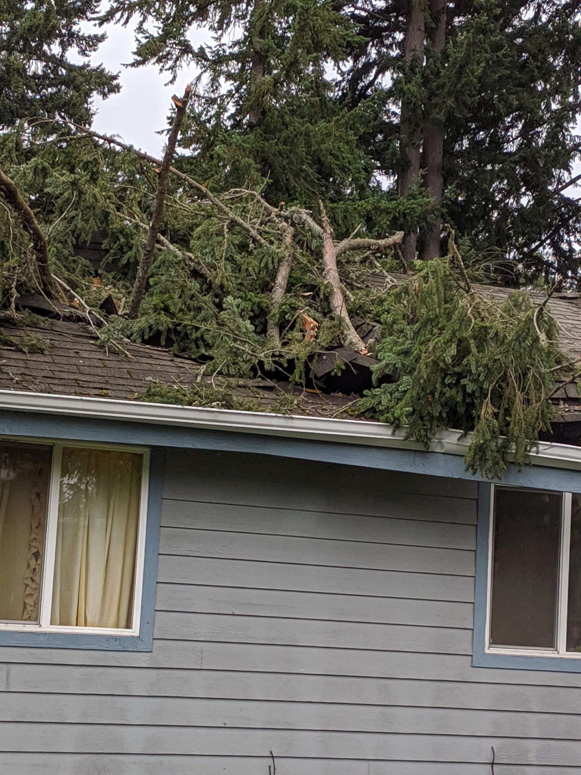 PHOTO: Aja Hauff was feeding her 1-month-old daughter, Ava, when the tree crashed through her home on Oct. 7, 2019 in Lakewood, Washington.