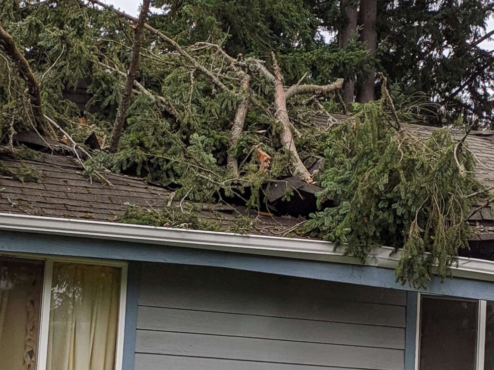 PHOTO: Aja Hauff was feeding her 1-month-old daughter, Ava, when the tree crashed through her home on Oct. 7, 2019 in Lakewood, Washington.