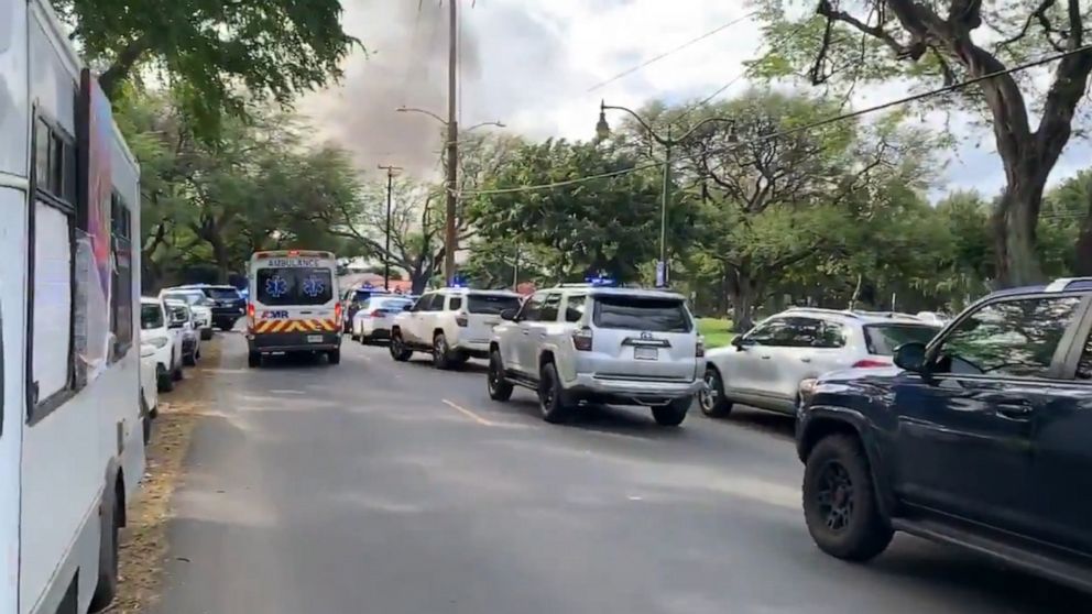 PHOTO: Ambulances and police cars at a scene in a neighborhood by Kapiolani Park in Honolulu, Jan. 19, 2020.